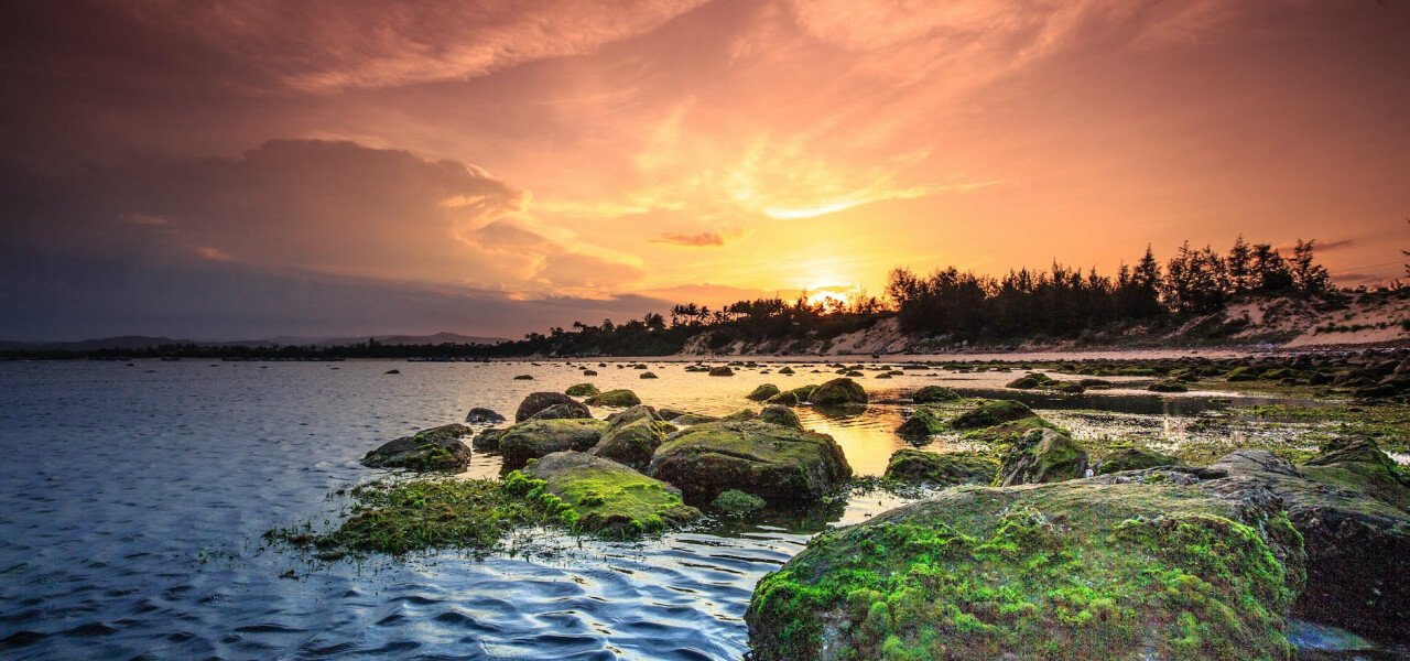tuin onderhoud bedrijven en particulieren zuid holland
